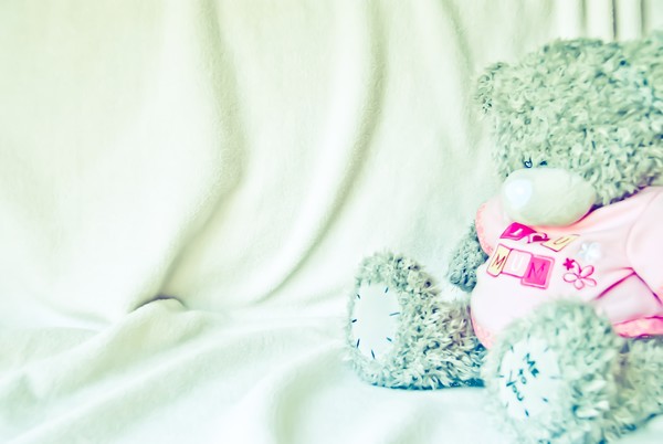 Teddy Bear