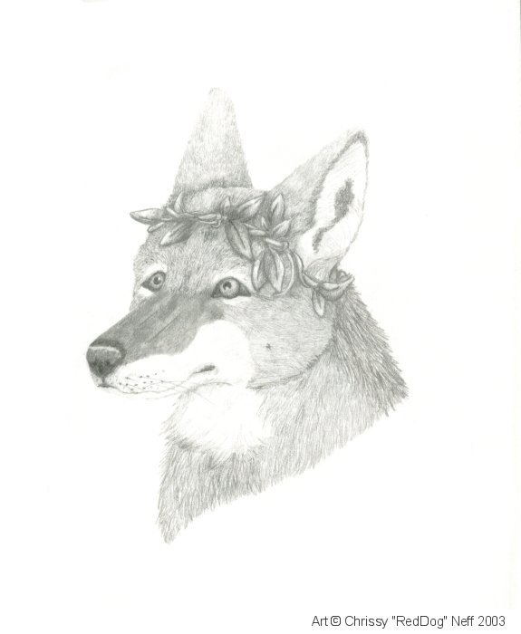 Leafy Jackal