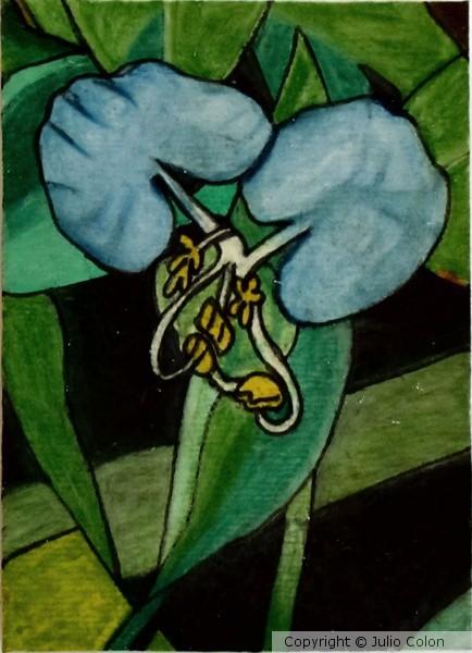 Coitre Azul