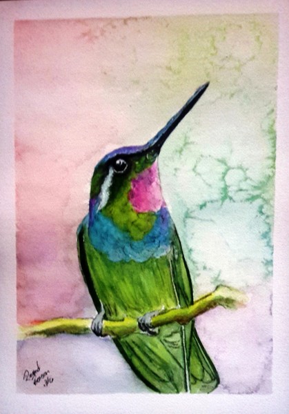 Hummingbird #2