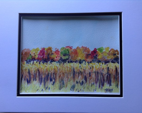 Woodlot in the Fall, near Stratford, ON