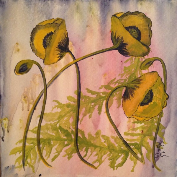 Poppy's in pastel 