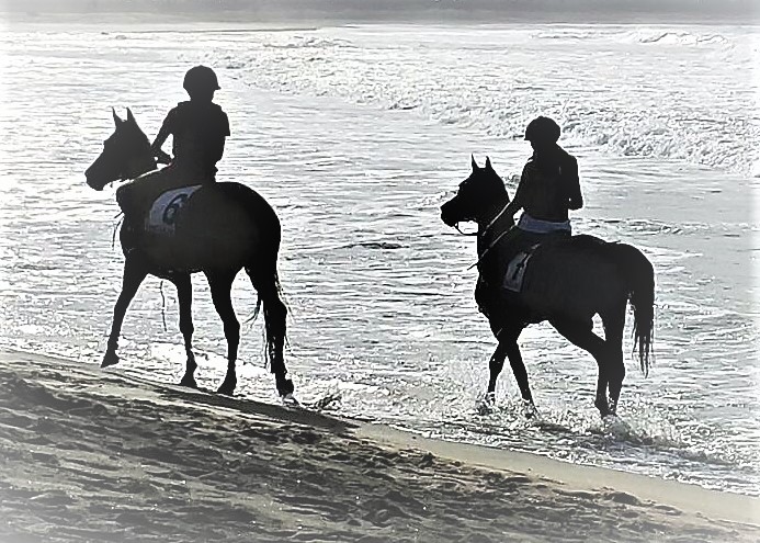 TRAINING ON THE BEACH