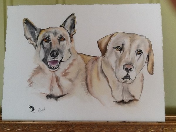 Two Good Dogs