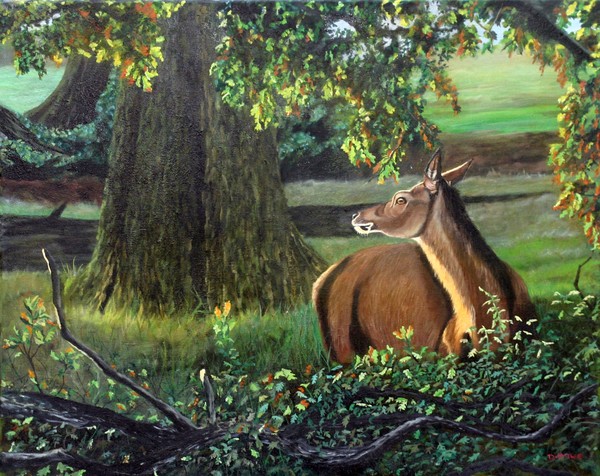Doe at Twilight