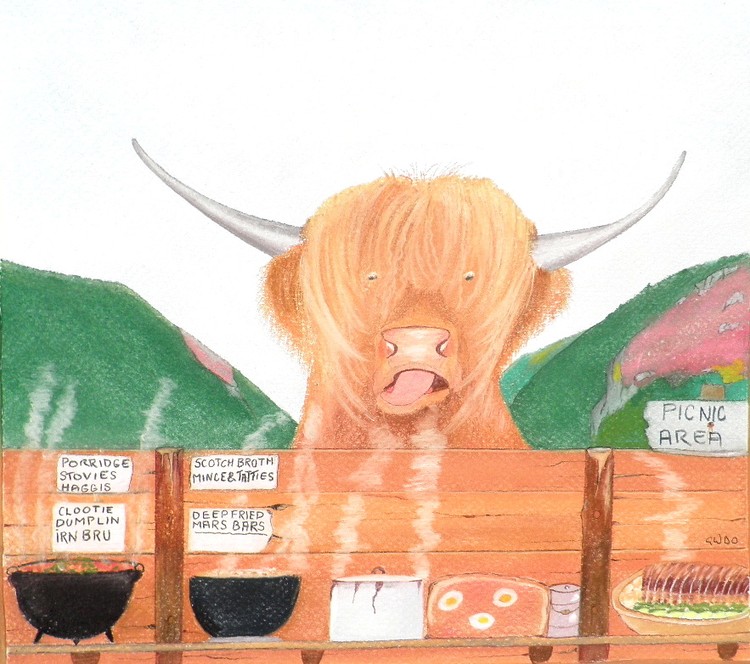 THE HEILAND COO Highland Cow