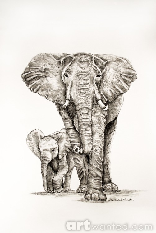 Matriarch w her Baby 0547