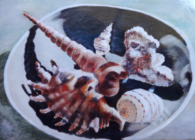 Sea shells