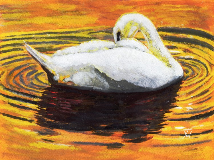 Autumn Swan