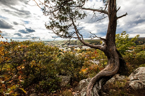 View point of West Rock Ridge