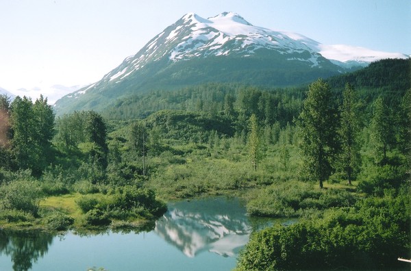 Eagle River Reflection