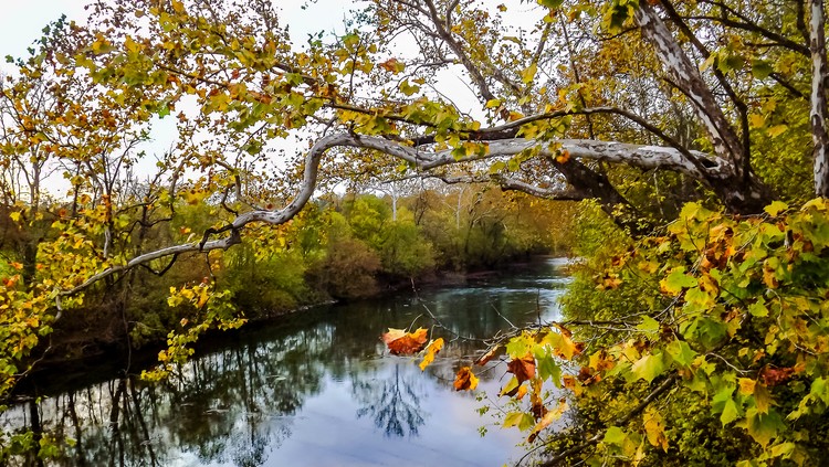 Fall foilage, Valley 