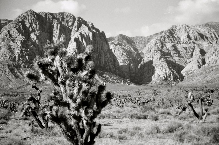 The Desert