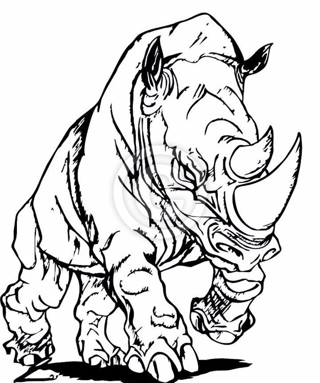 rhino