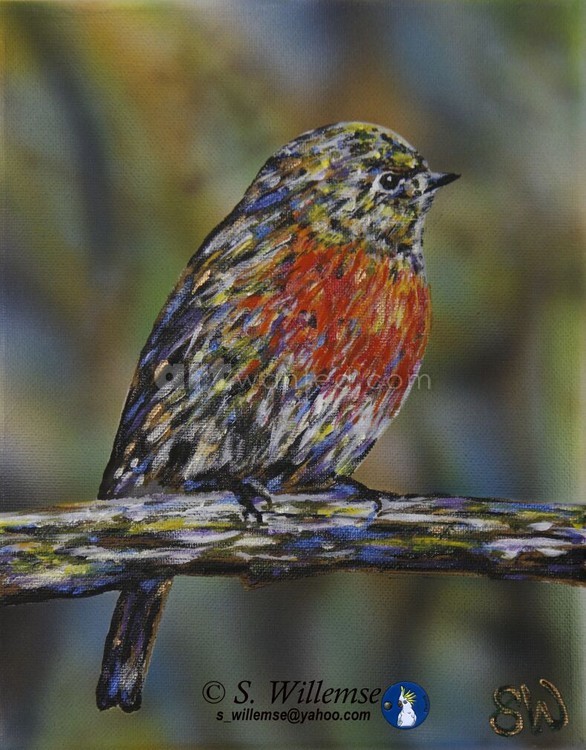 Red Robin