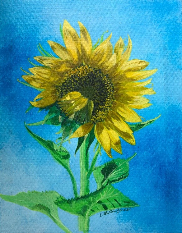Sunflower 