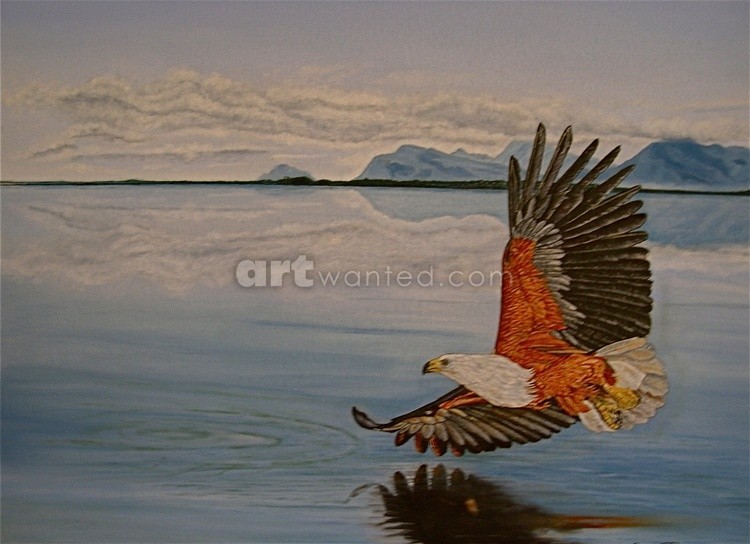 African Fish Eagle