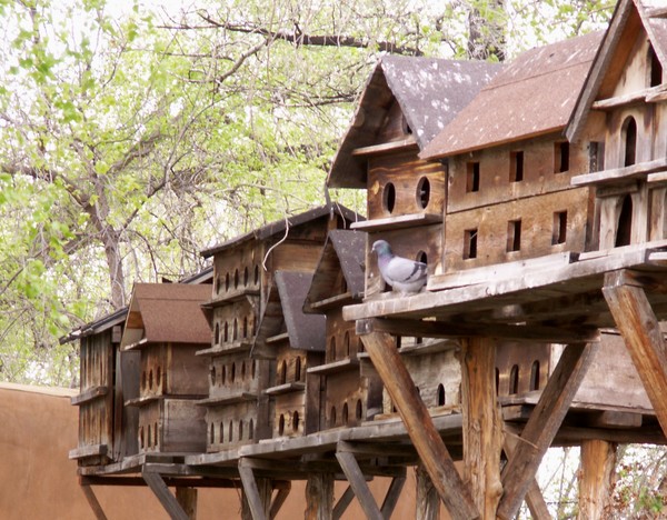 The Bird Homes