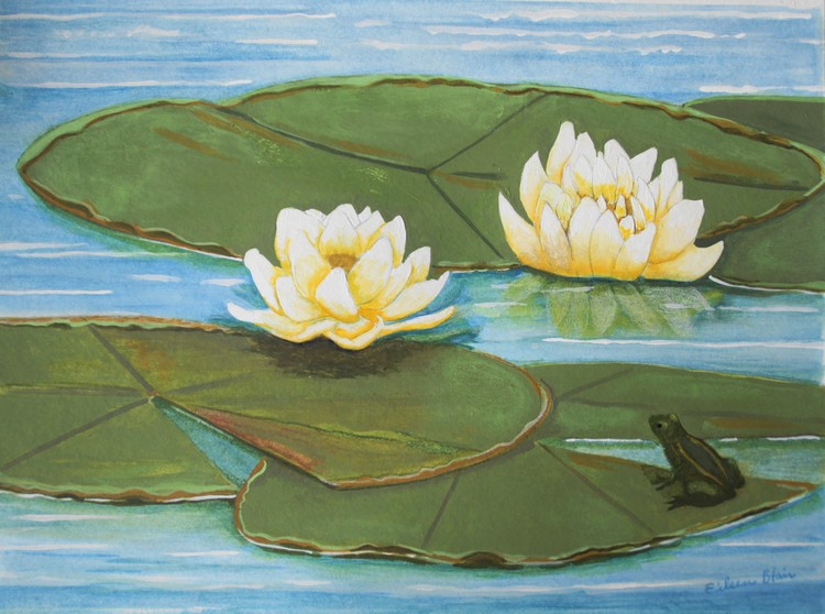 Waterlilies
