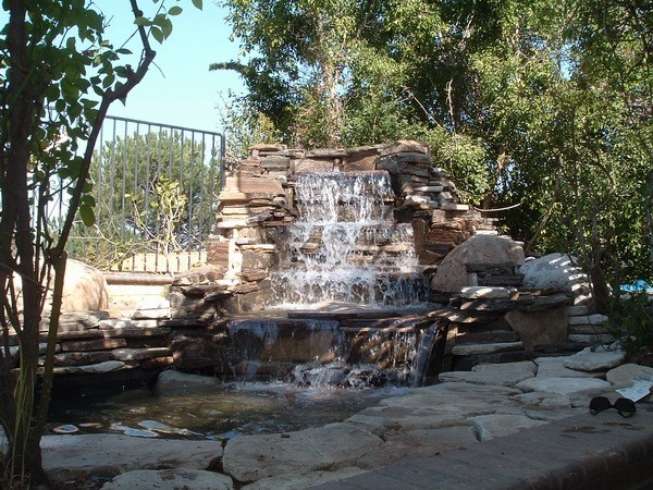 The Pond