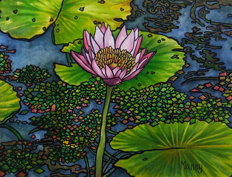 Hawaiian Waterlilies #1