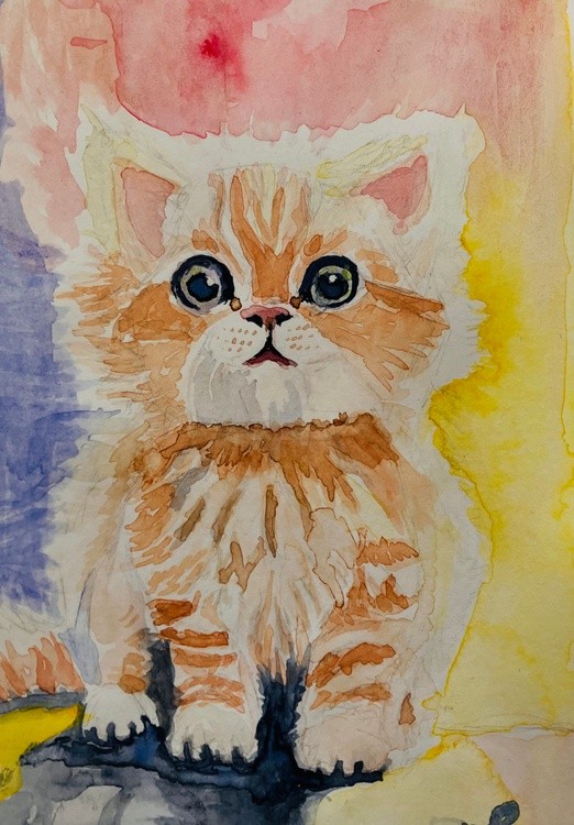 cat