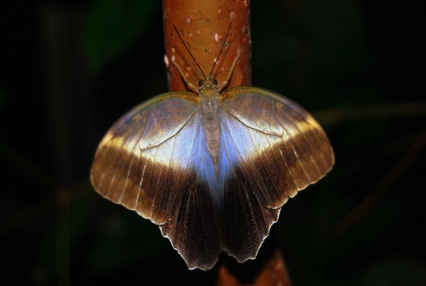 A second view