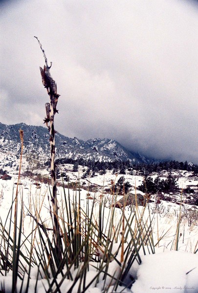Spring Time in the Rocky Mountains