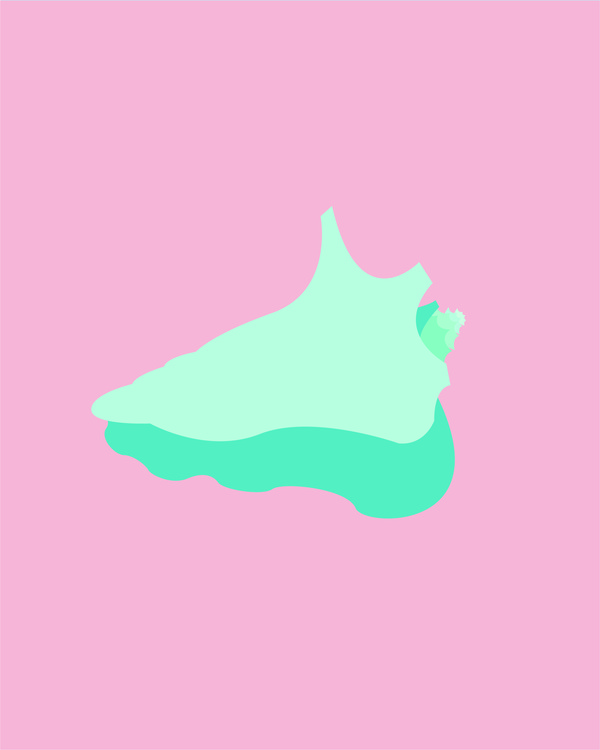 Conch shell