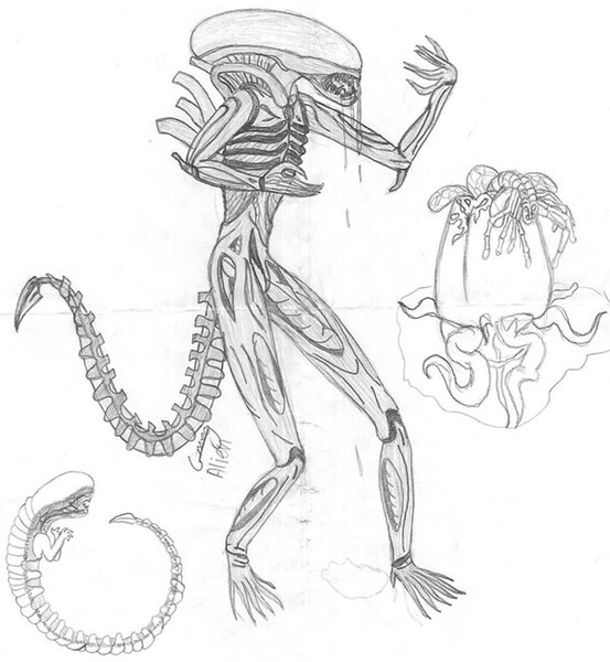 Alien family