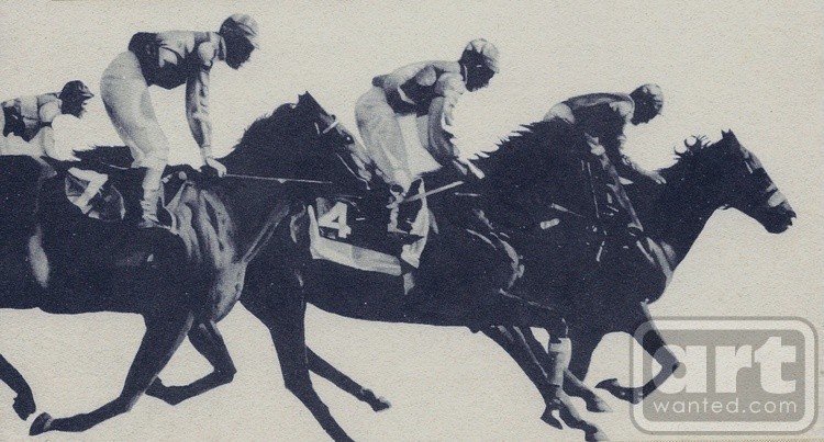 Horse Race