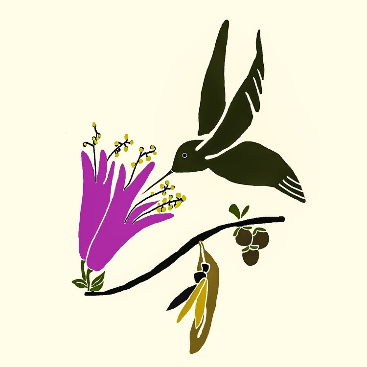 Hummingbird X black hornet
