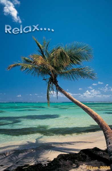 Tropical Relaxation