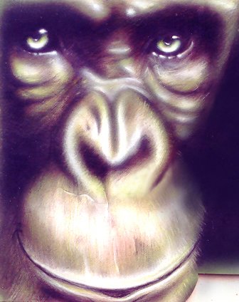 Monkey Business