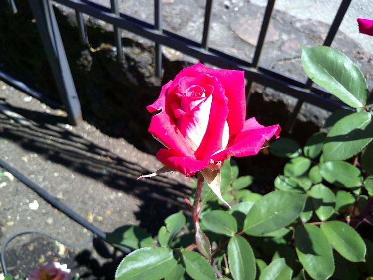 DSCF0059