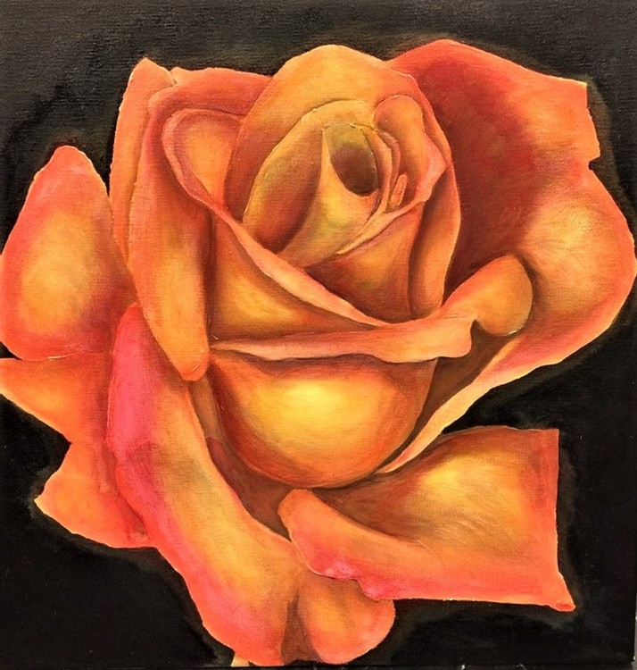 Rose