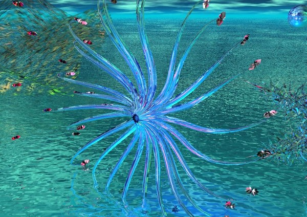 Jellyfish