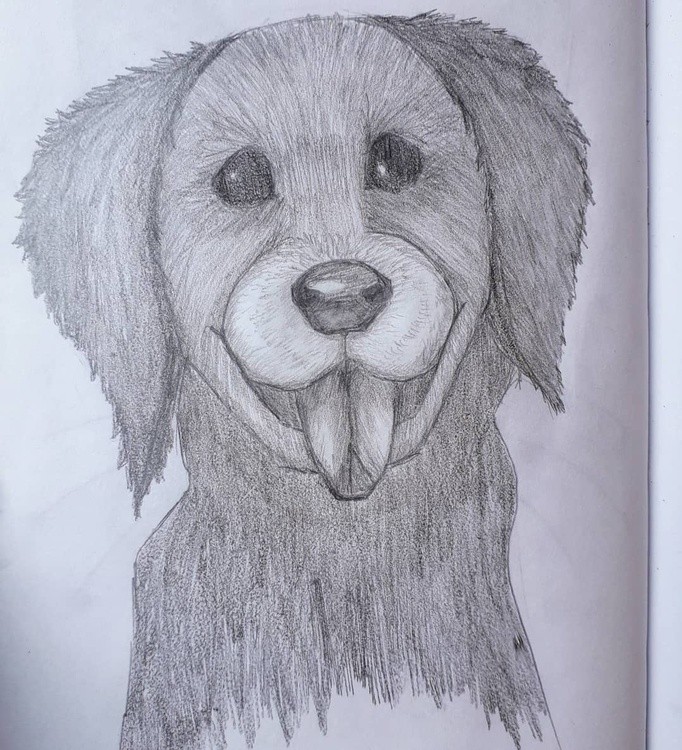 A puppy
