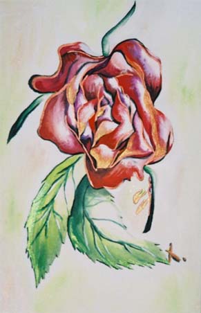 Rose