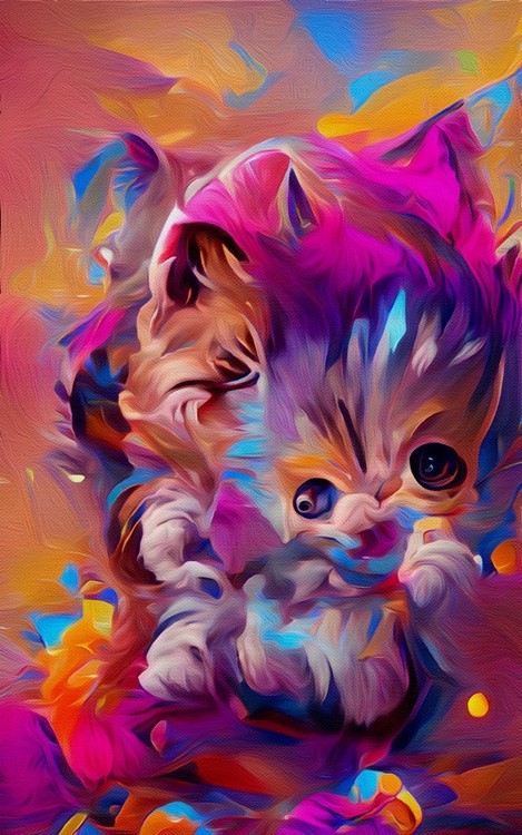 Kute Kittens(1)