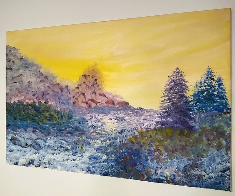 Dreamworld Meadows