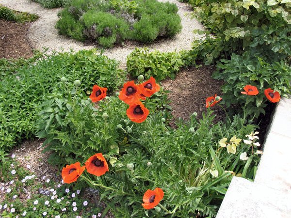 Wichita Botanical Gardens