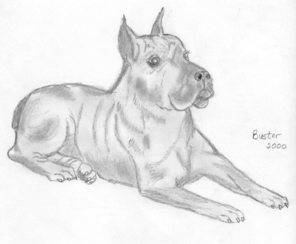 Buster