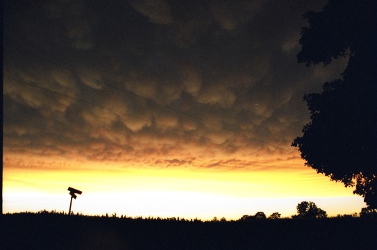 after the storm2