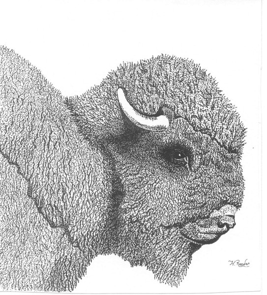 Buffalo
