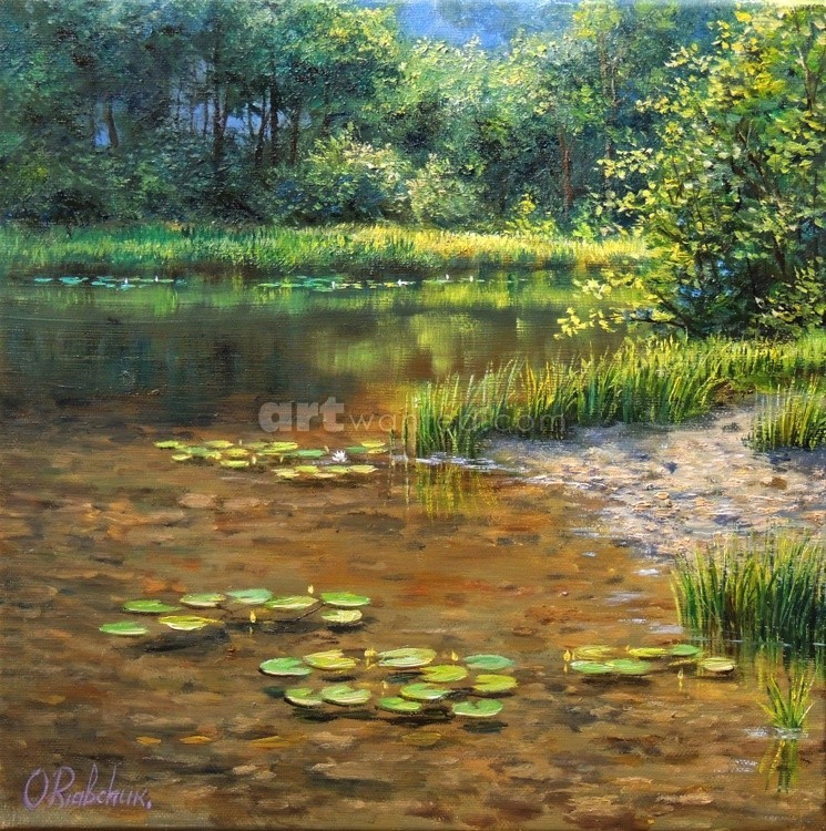 Quiet Backwater