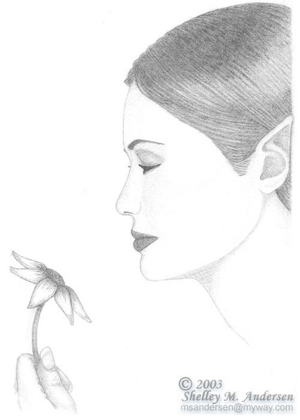Daisy Gazer