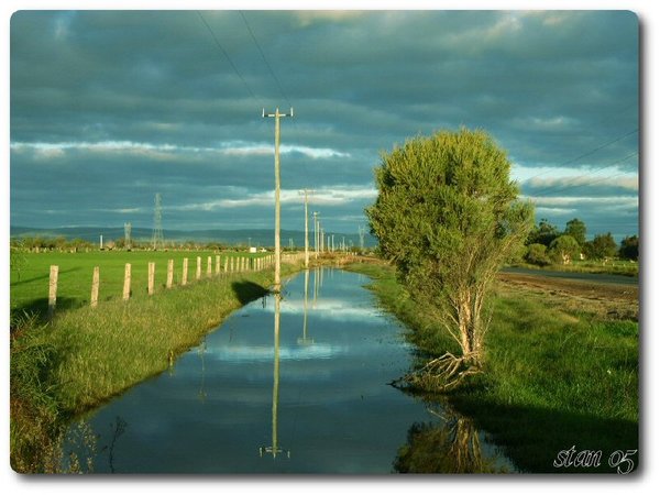 Play in reflections 