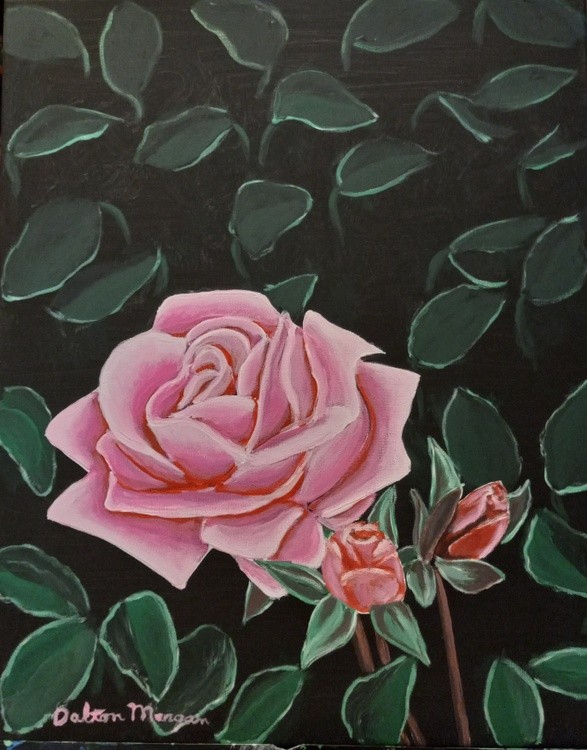 Pink Roses