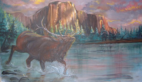 elk in river